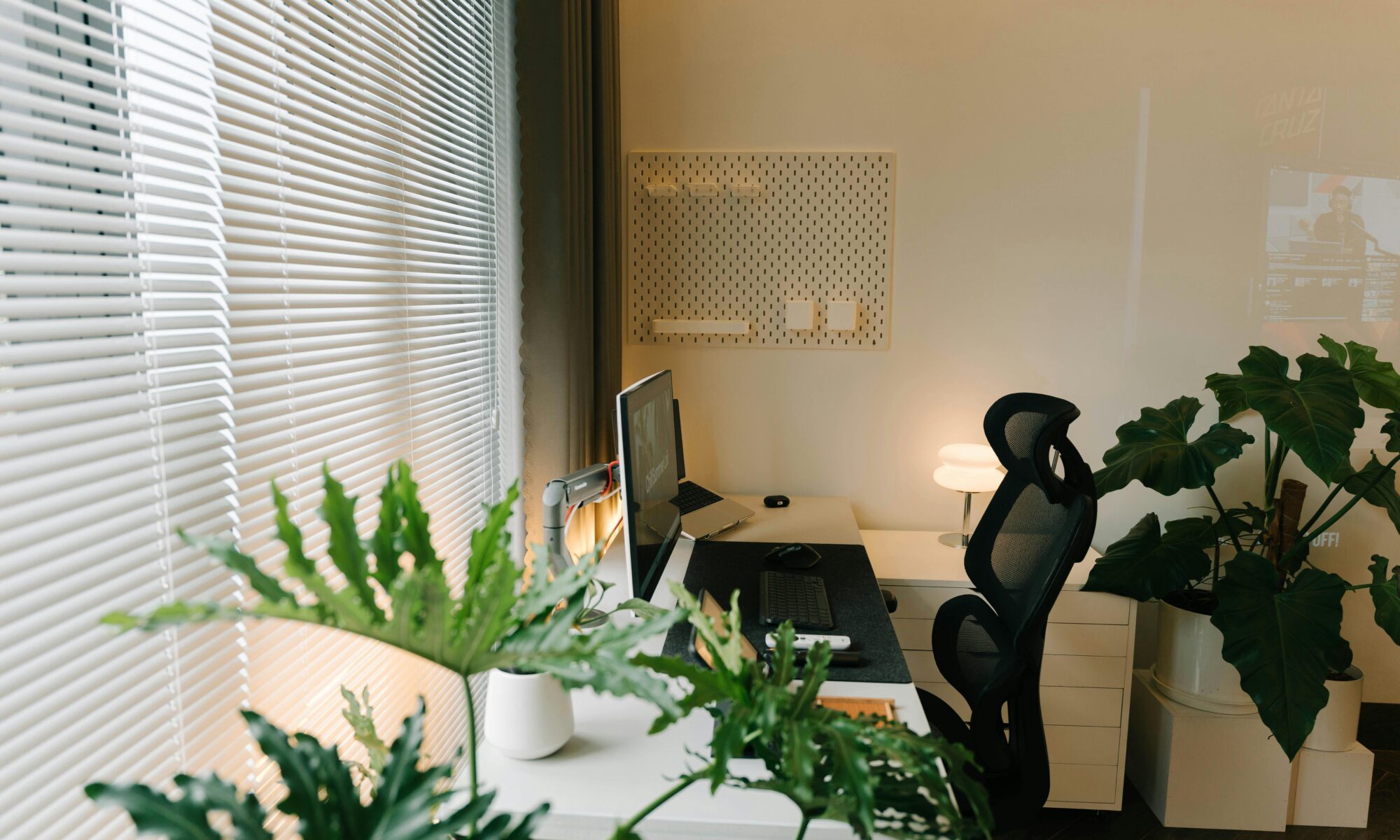 Bright modern home office space with plants and ergonomic chair.