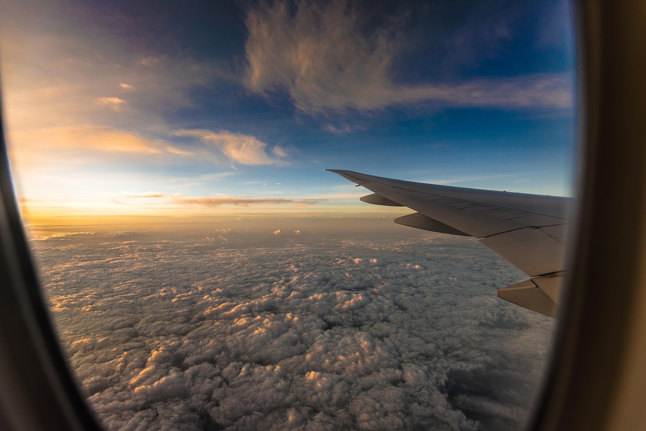 travel, plane, sunset, airplane, nature, trip, horizon, success, brown travel, brown sunset, brown plane, brown airplane